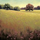 James Wiens Poppy Fields II by Unknown Artist